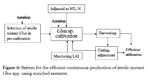 aquaculture-research-development-sterile