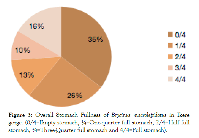 aquaculture-research-stomach-fullness