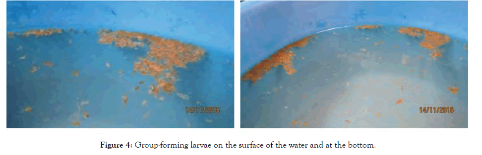 aquaculture-research-surface-water