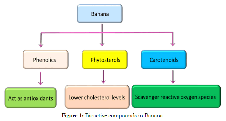 biochemistry-and-analytical-biochemistry-bioactive-banana