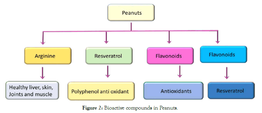 biochemistry-and-analytical-biochemistry-bioactive-peanuts