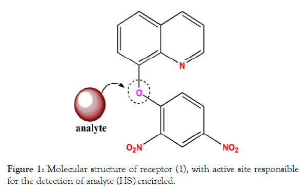 biochemistry-and-analytical-biochemistry-molecular-receptor