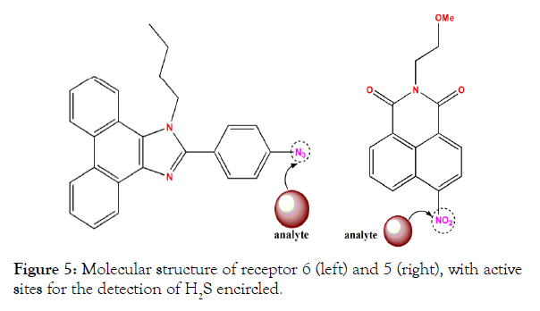 biochemistry-and-analytical-biochemistry-molecular-receptor