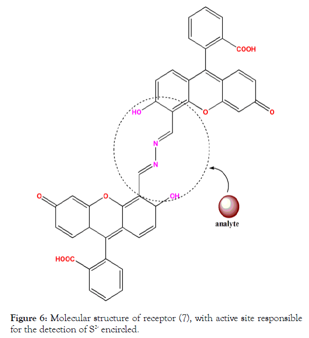 biochemistry-and-analytical-biochemistry-molecular-receptor