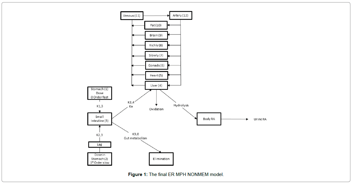 bioequivalence-bioavailability-NONMEM-model