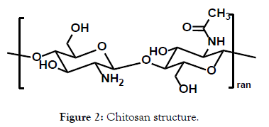 bioequivalence-bioavailability-chitosan-structure