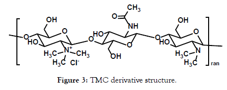 bioequivalence-bioavailability-derivative-structure