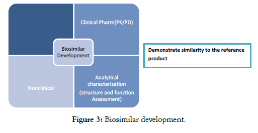 bioequivalence-bioavailability-development