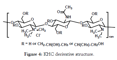 bioequivalence-bioavailability-khc-derivative-structure