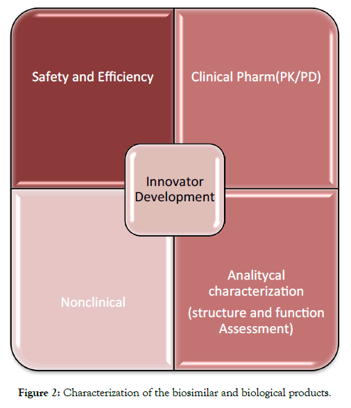 bioequivalence-bioavailability-products