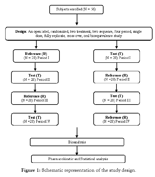 bioequivalence-bioavailability-representation