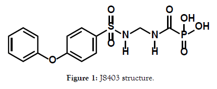 bioequivalence-bioavailability-structure