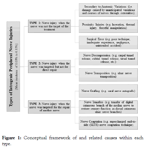 biology-and-medicine-framework