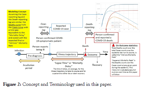 biology-and-medicine-paper