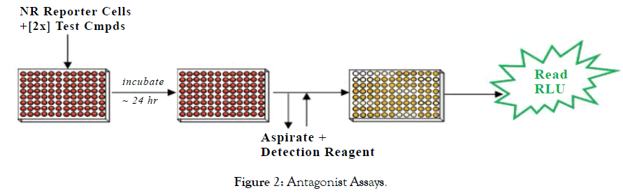 biology-medicine-antagonist-assays