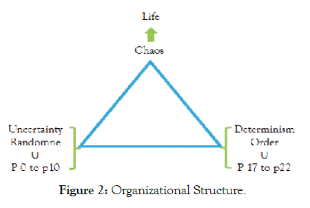 biology-medicine-organizational-structure