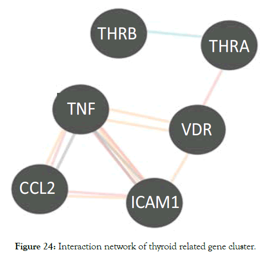 biology-medicine-thyroid-gene-cluster