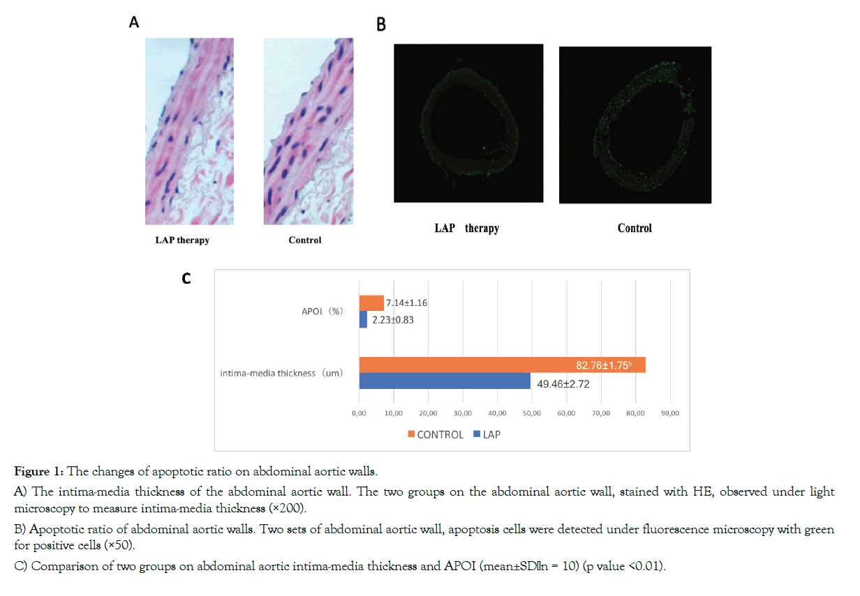 biomolecular-research-therapeutics-apoptotic-ratio