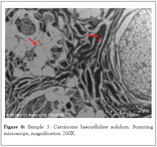 carcinogenesis-mutagenesis-microscope