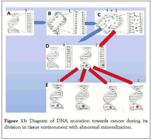 carcinogenesis-mutagenesis-mutation