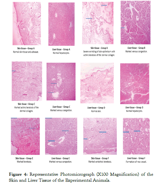 clinical-experimental-pharmacology-animals