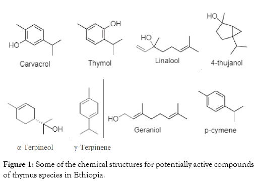 clinical-experimental-pharmacology-potentially