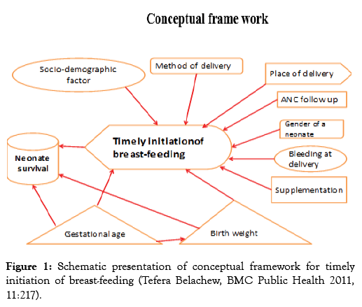 clinical-medical-sciences-framework
