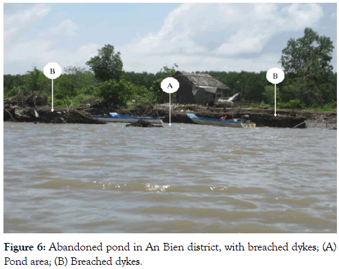 coastal-development-Abandoned-pond