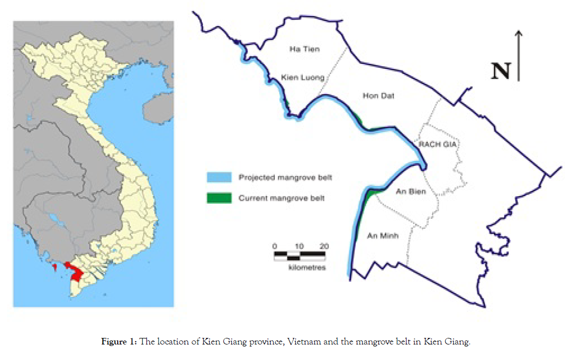 coastal-development-mangrove-belt