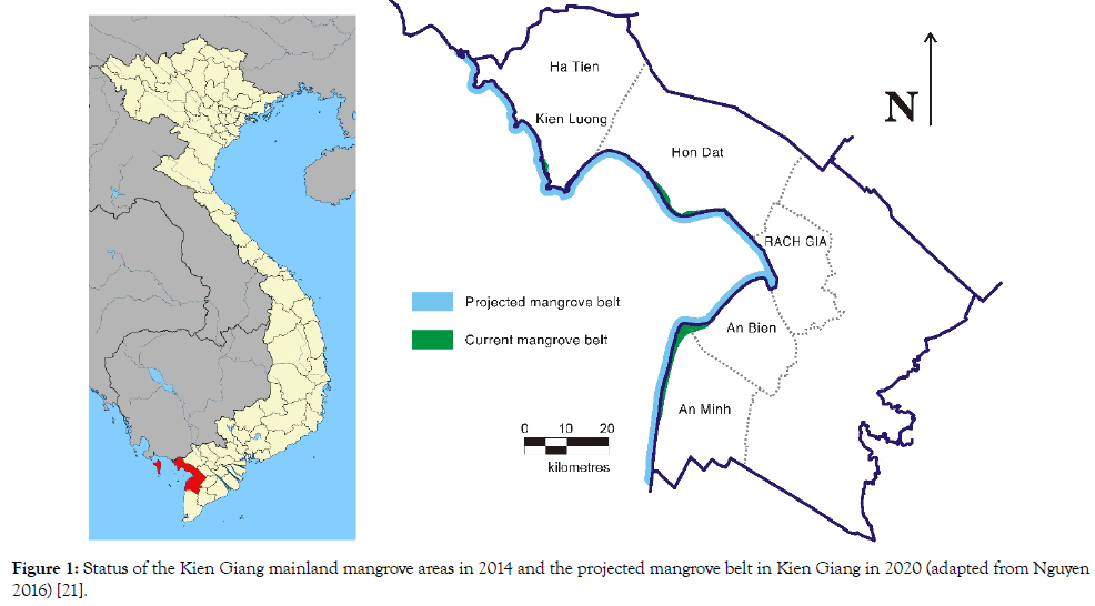 coastal-development-projected-mangrove