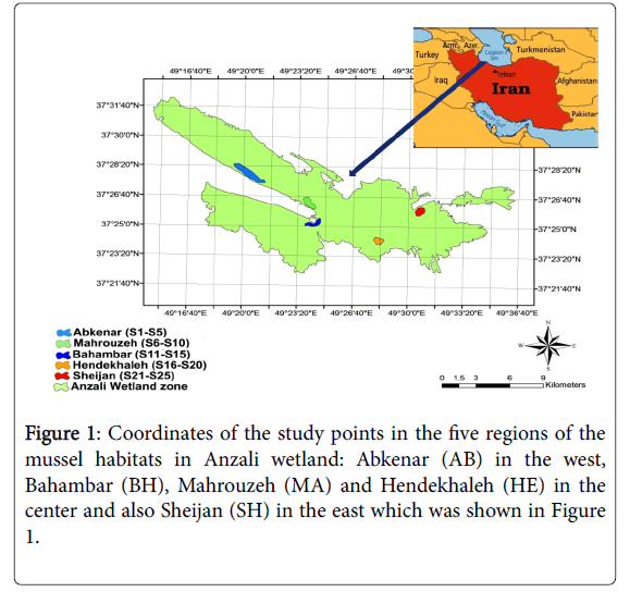 coastal-development-study-points