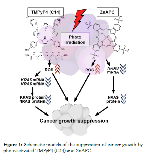 data-mining-genomics-cancer