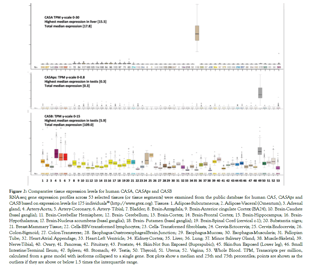 data-mining-genomics-expression