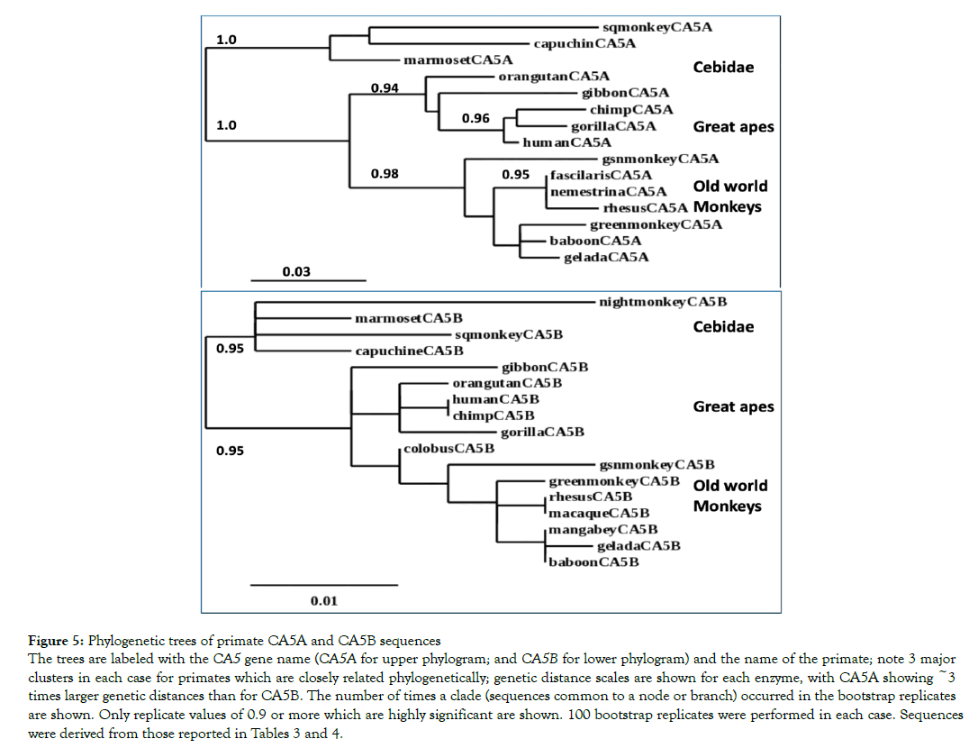 data-mining-genomics-genetic