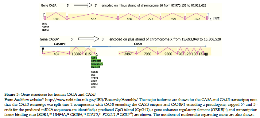 data-mining-genomics-isoforms