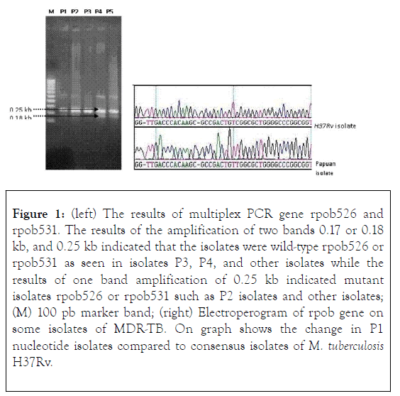 data-mining-in-genomics-proteomics-band-amplification