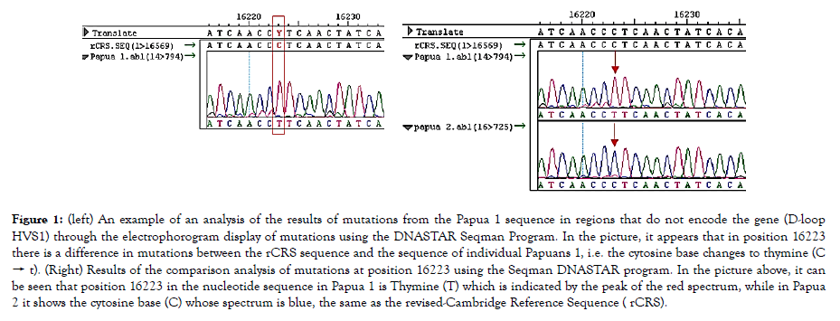 data-mining-in-genomics-proteomics-mutations