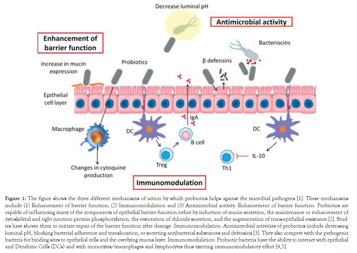 food-processing-technology-Immunomodulation