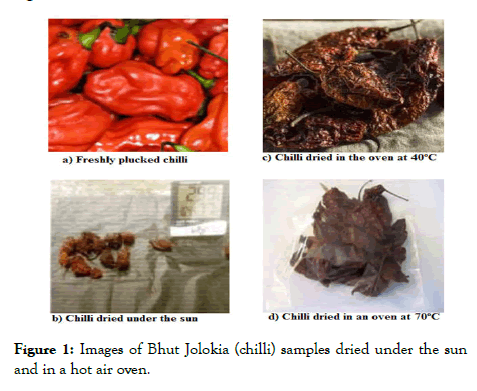 food-processing-technology-Jolokia