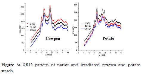 food-processing-technology-XRD-pattern