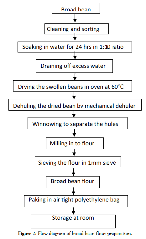 food-processing-technology-bean-flour