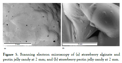 food-processing-technology-electron