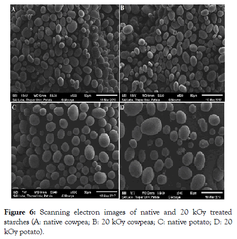 food-processing-technology-electron-images