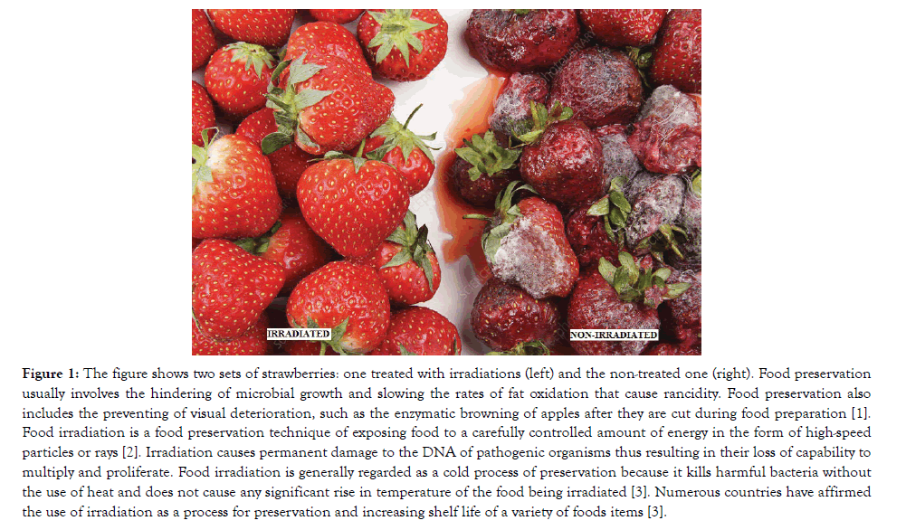 food-processing-technology-irradiations