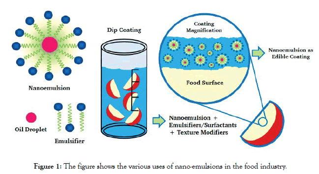 Emulsifiers in Food Technology [Book]