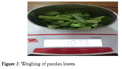 food-processing-technology-pandan-leaves