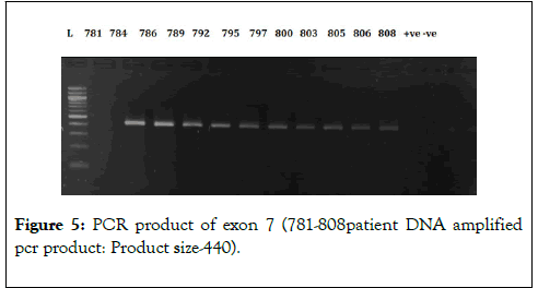 gene-technology-amplified