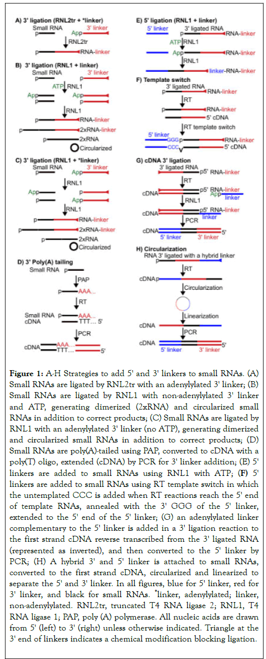 gene-technology-chemical