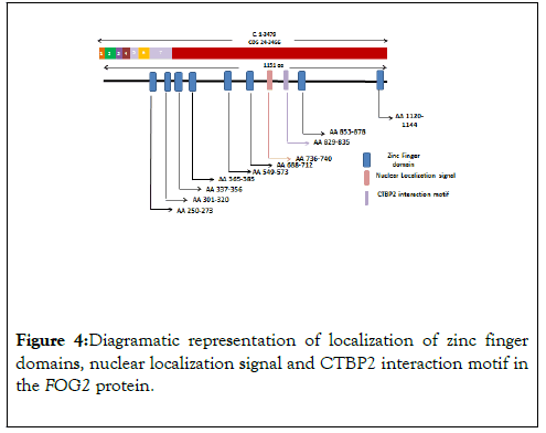 gene-technology-finger