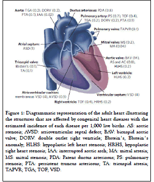 gene-technology-heart